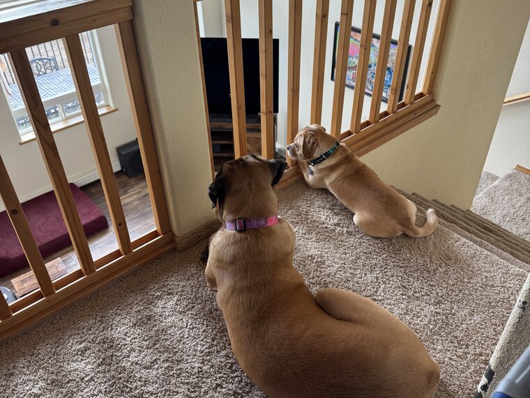 Freya and a teammate watching the room from the top of the stairs