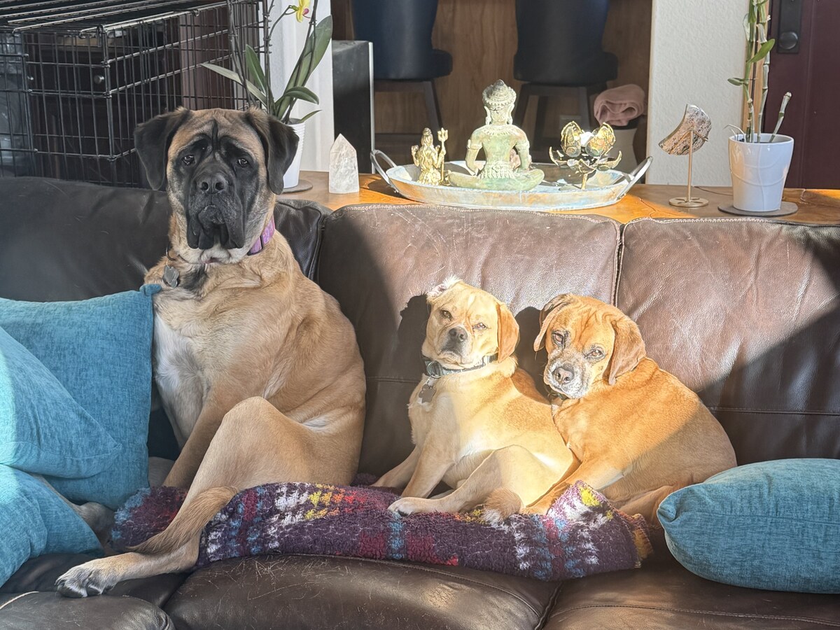 Freya, Loki and Thor sitting together on the couch, looking at the camera